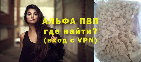 индика Балахна