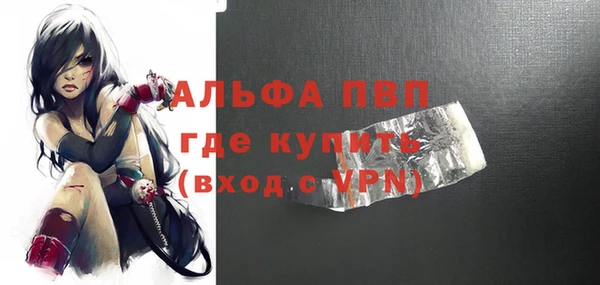 индика Балахна