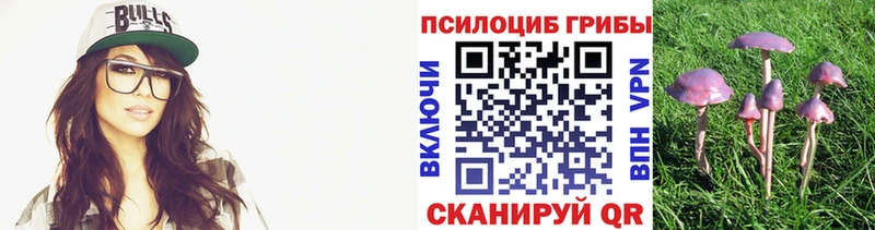 Галлюциногенные грибы MAGIC MUSHROOMS  Козельск 